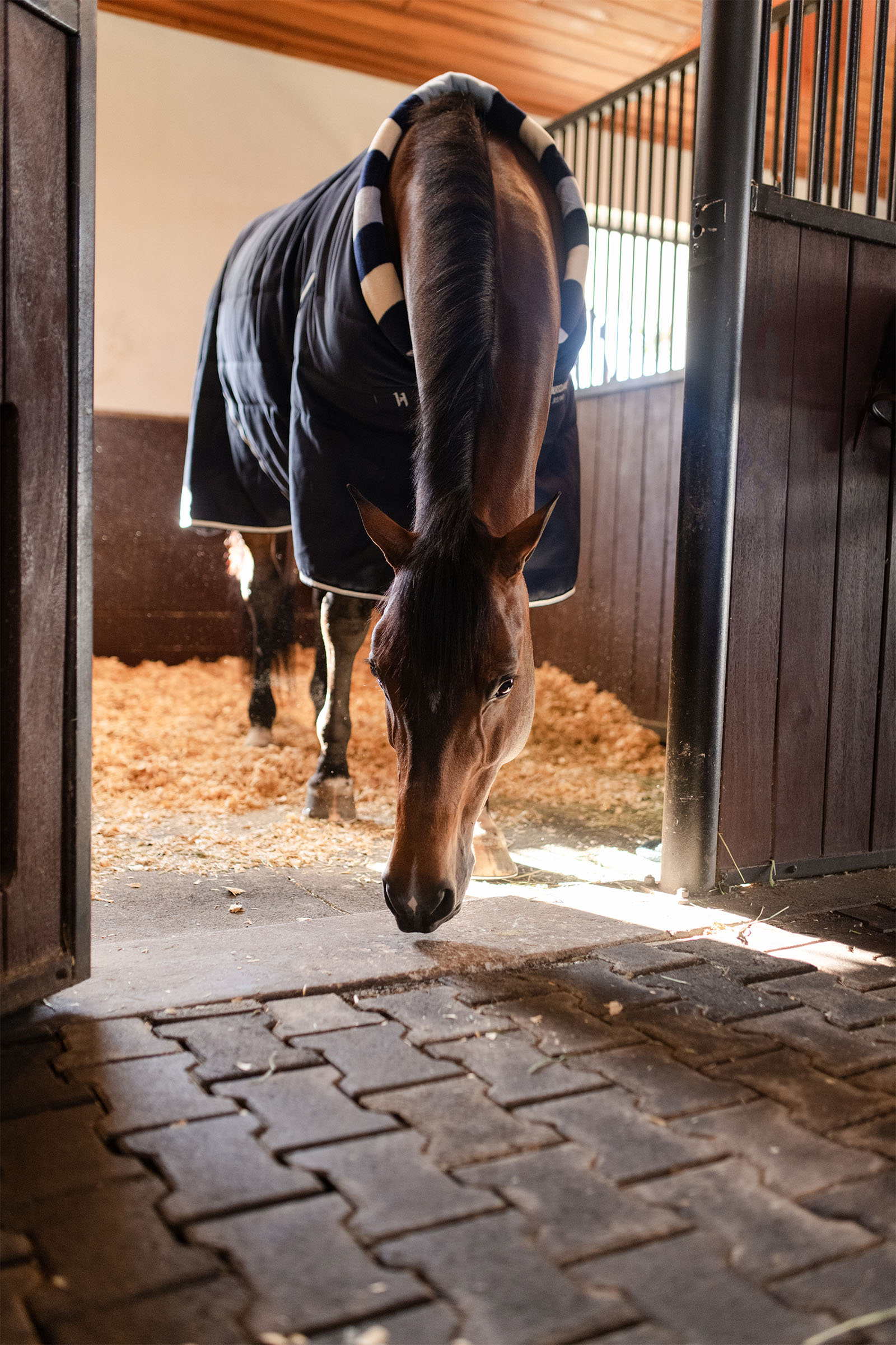 Horseware Newmarket Cosy Stable 100g