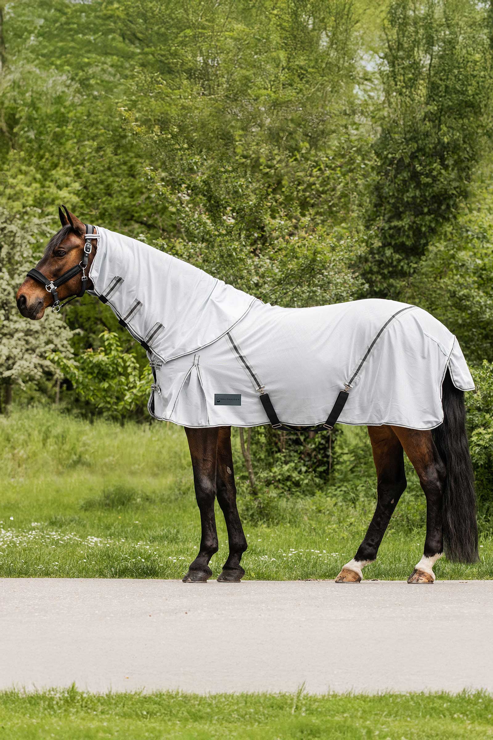 Silver-Grey/Grey Waldhausen Protect Fly Rug With Detachable Neck