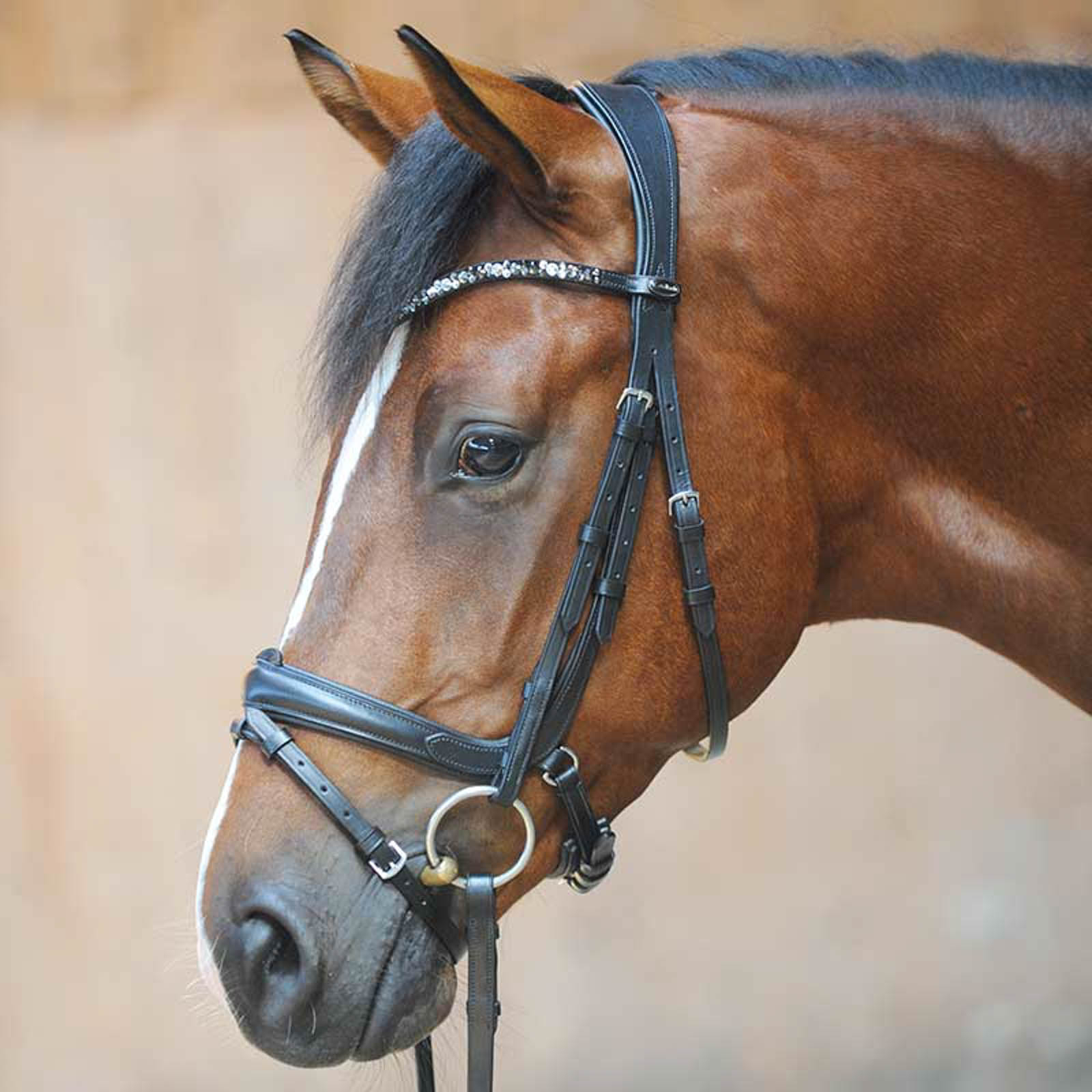 Kavalkade Ivonnne (Double) Bridle