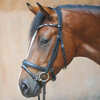 Kavalkade Ivonnne (Double) Bridle