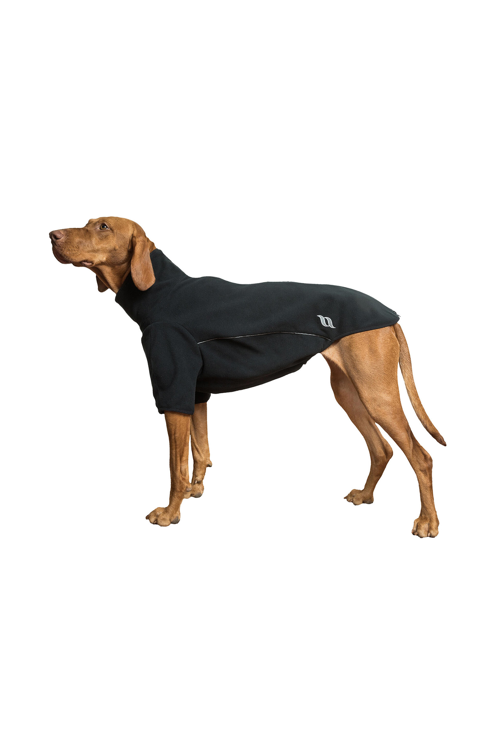 Back on Track Cassie All-Weather Jumper, 25-30cm