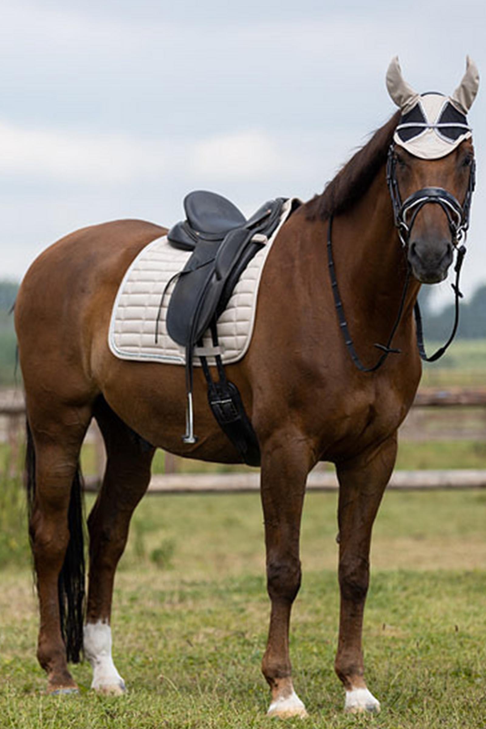 BR Glamour Chic Dressage Saddle Pad 