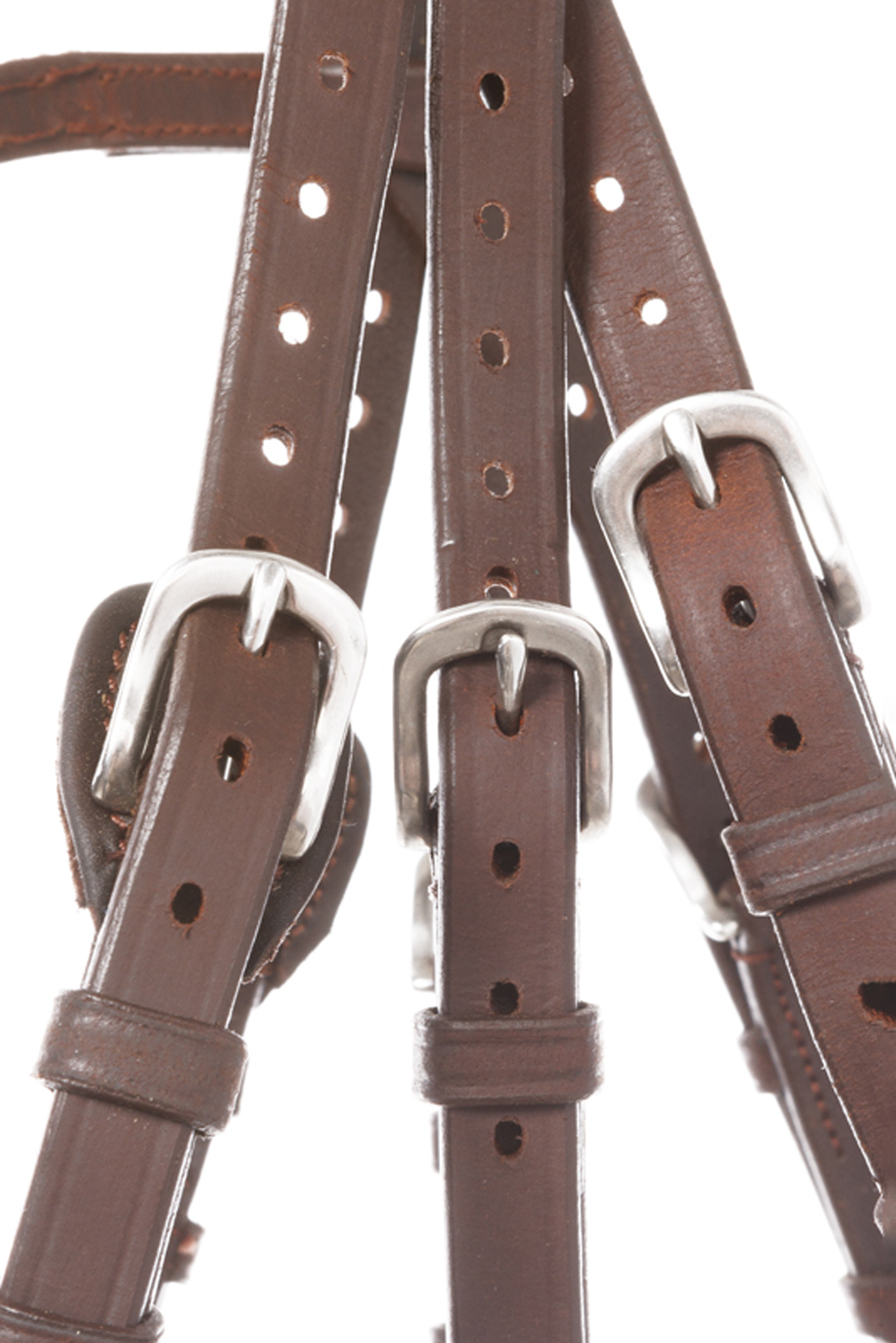 Kavalkade Bridle Everlyn crank nb-flash