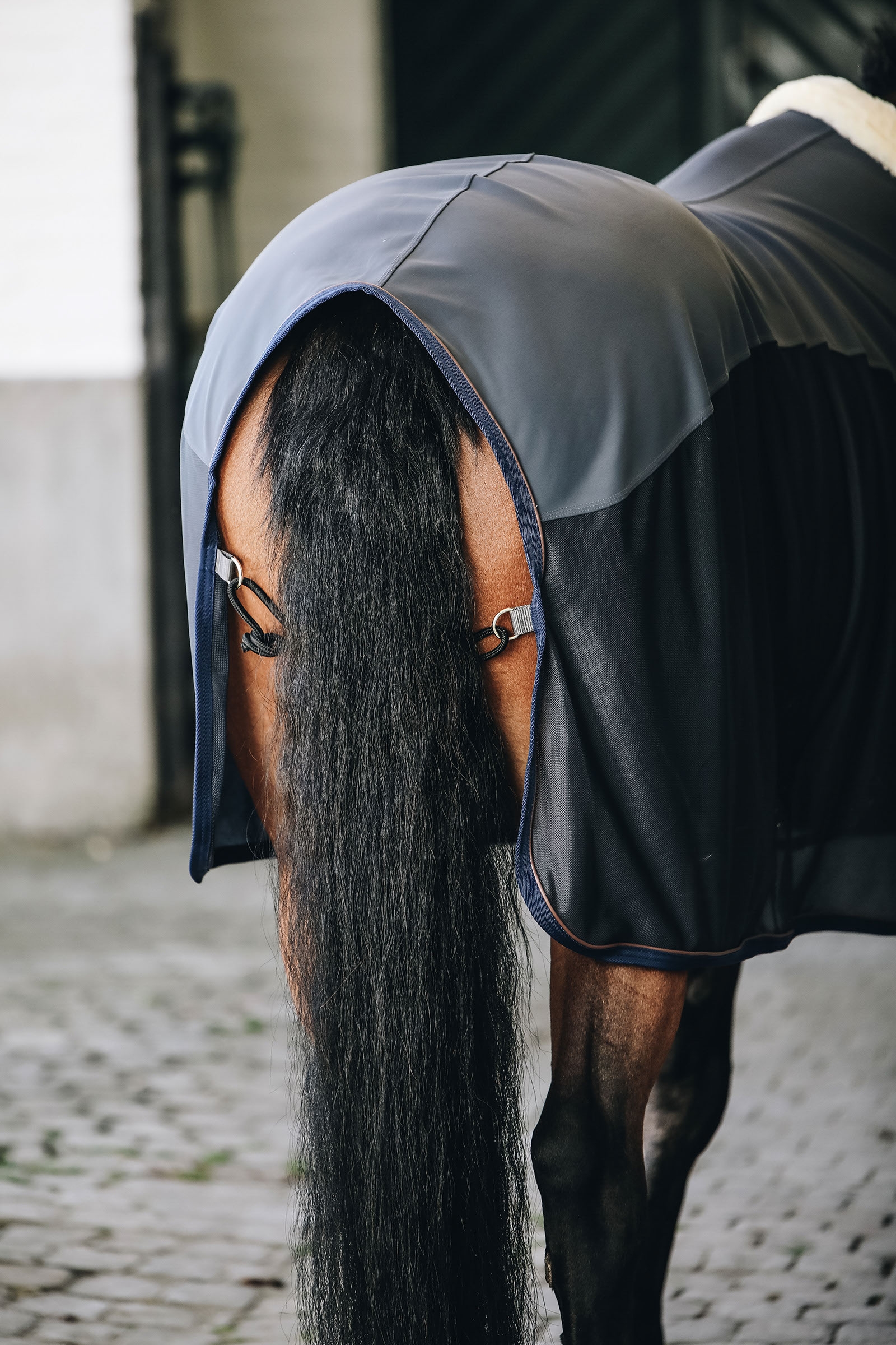 Kentucky Horsewear Softshell Cooler