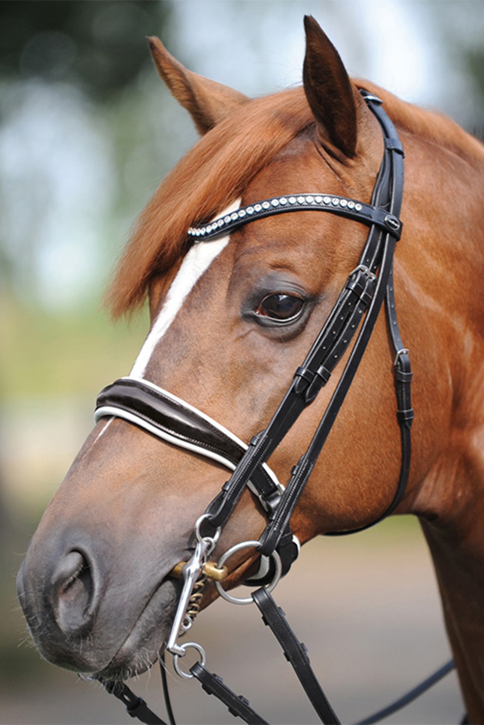 Kavalkade Weymouth bridle Antonia, crank noseband