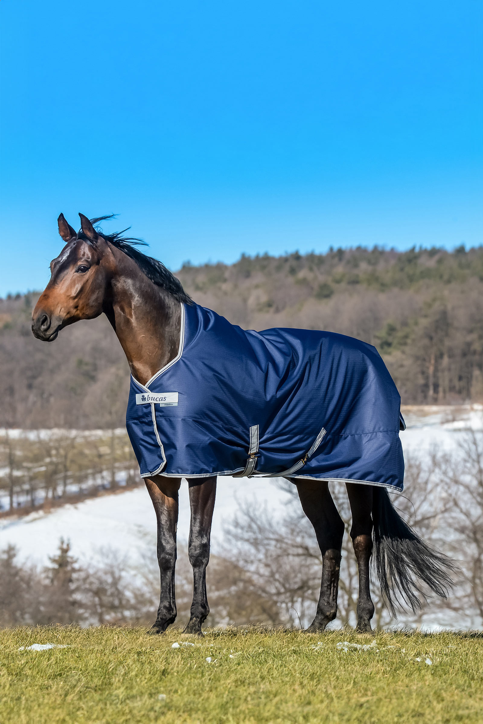 Bucas Freedom High Neck Turnout Rug, 150g