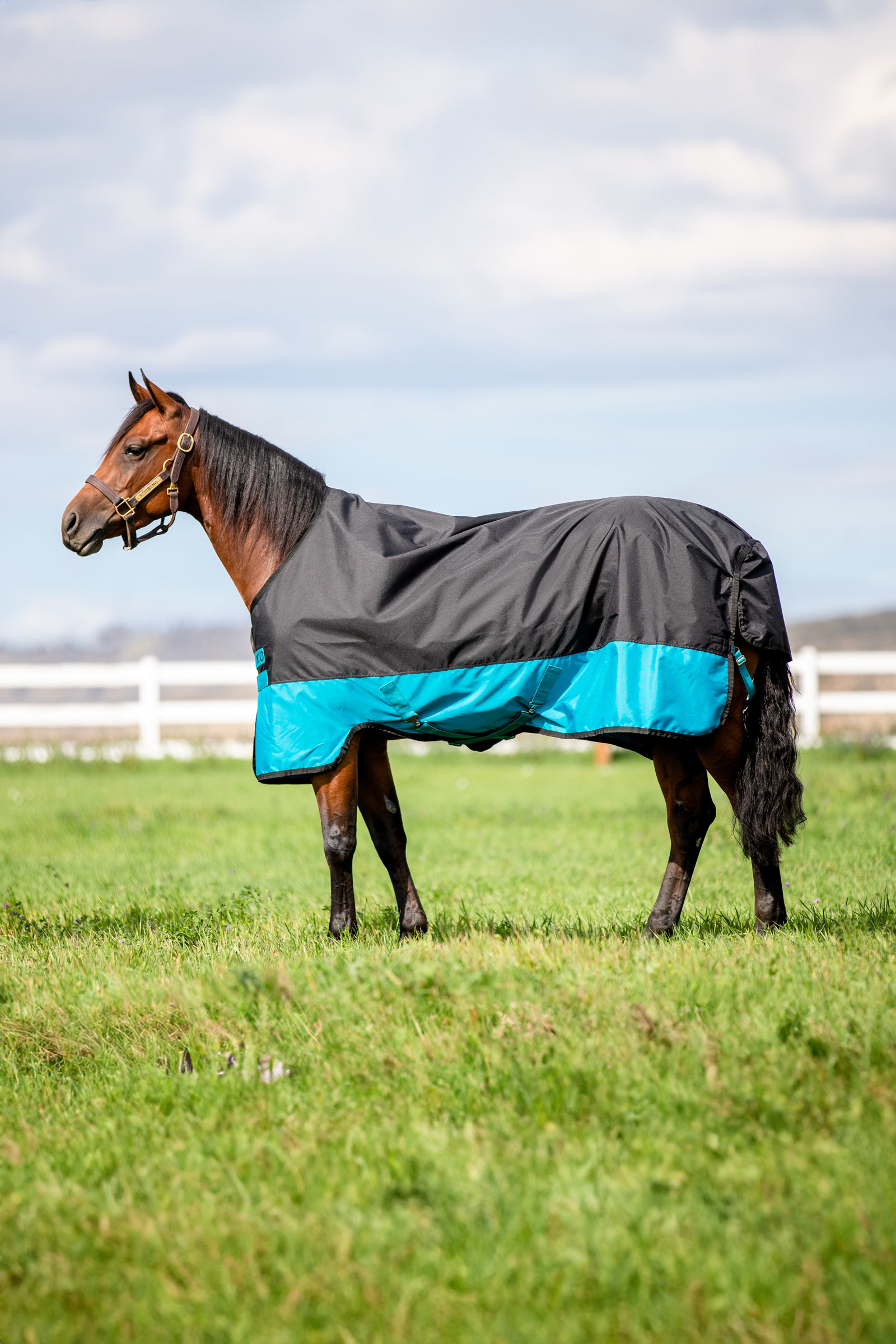Horseware Mio Turnout Rug, 200g