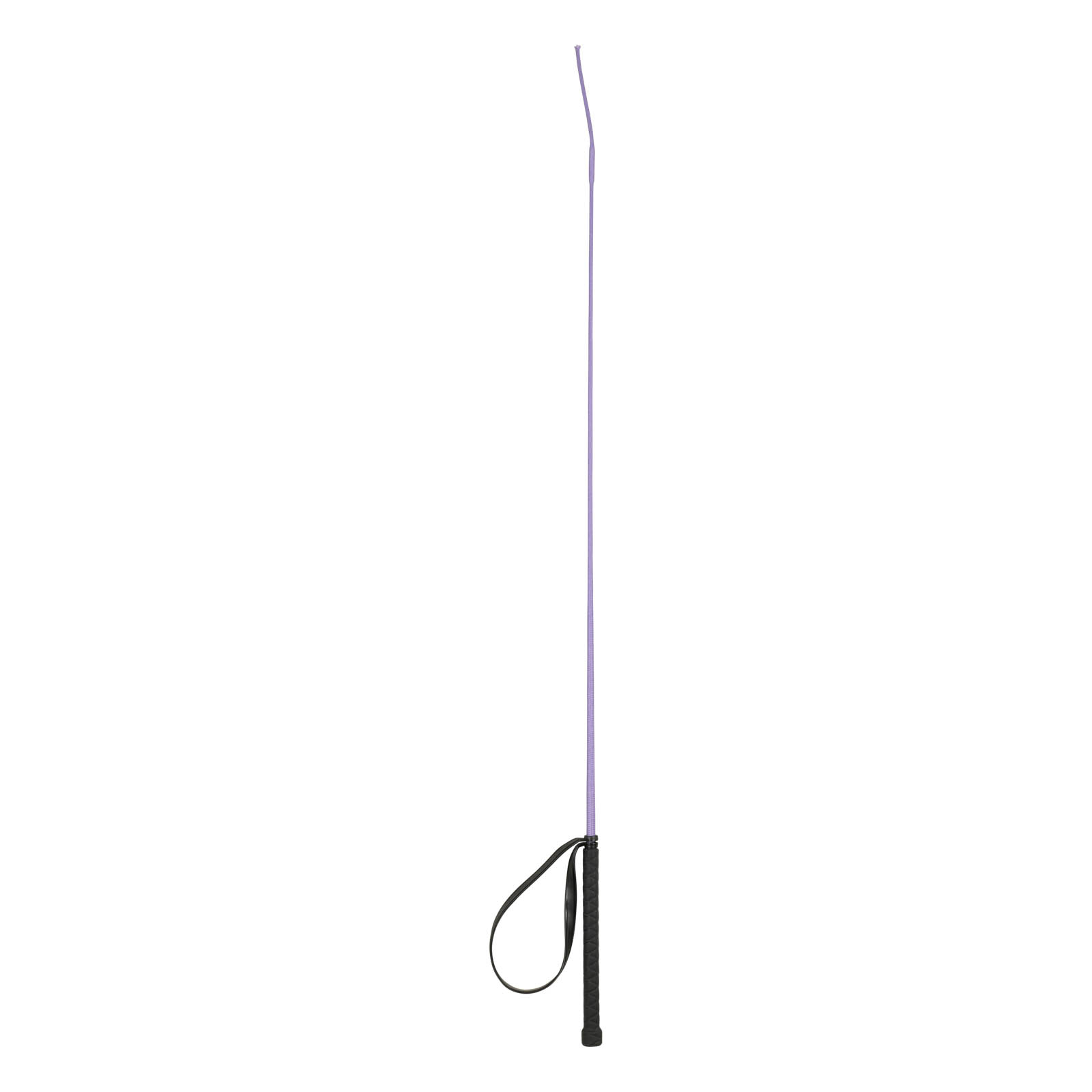 Purple Horze Austin Dressage Whip