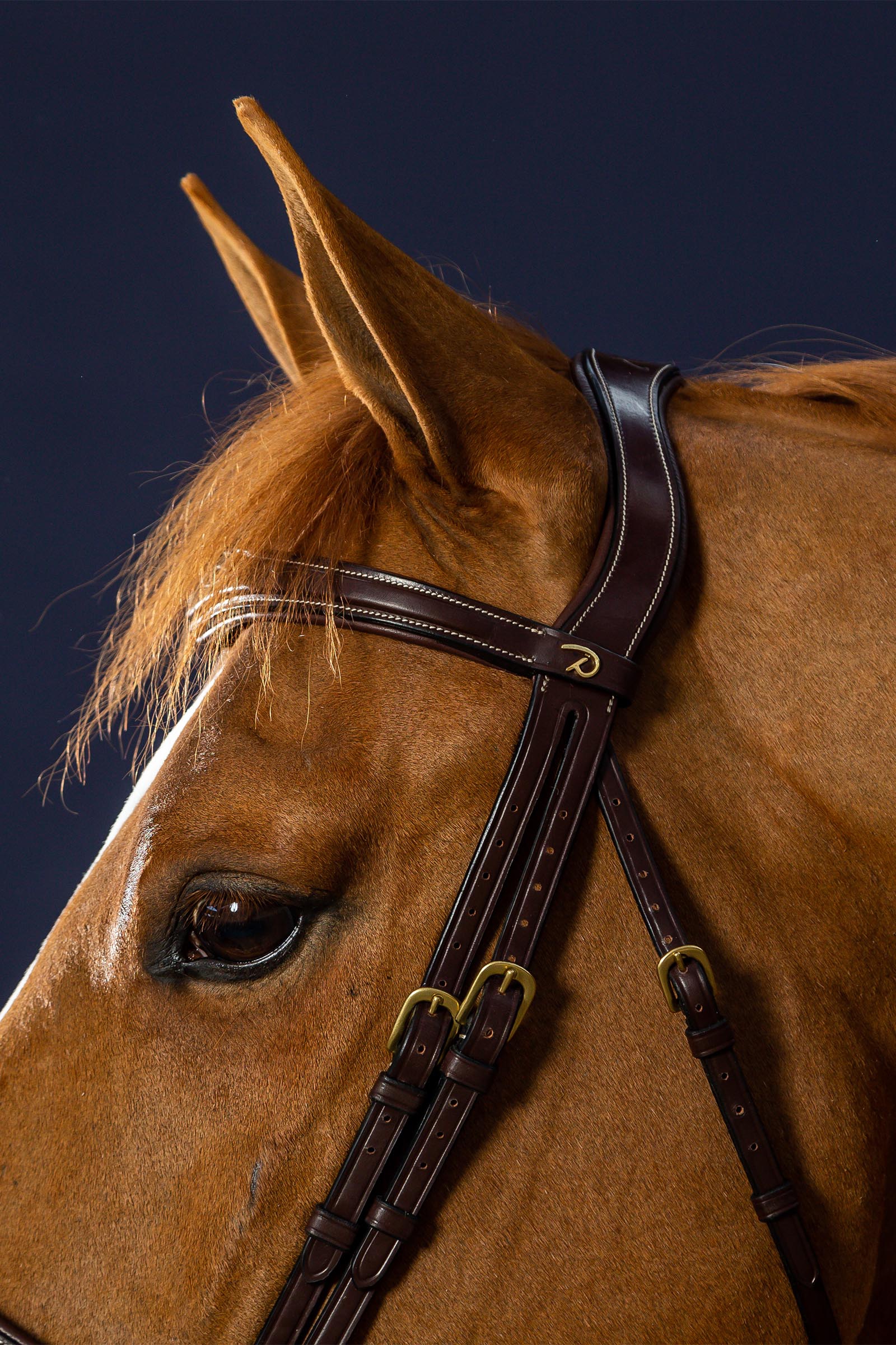 Dy'on D Collection Anatomical Bridle With Flash Noseband 