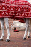 Horze Christmas Horse Sweater