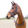 Horze Cooper Halter and Lead Set
