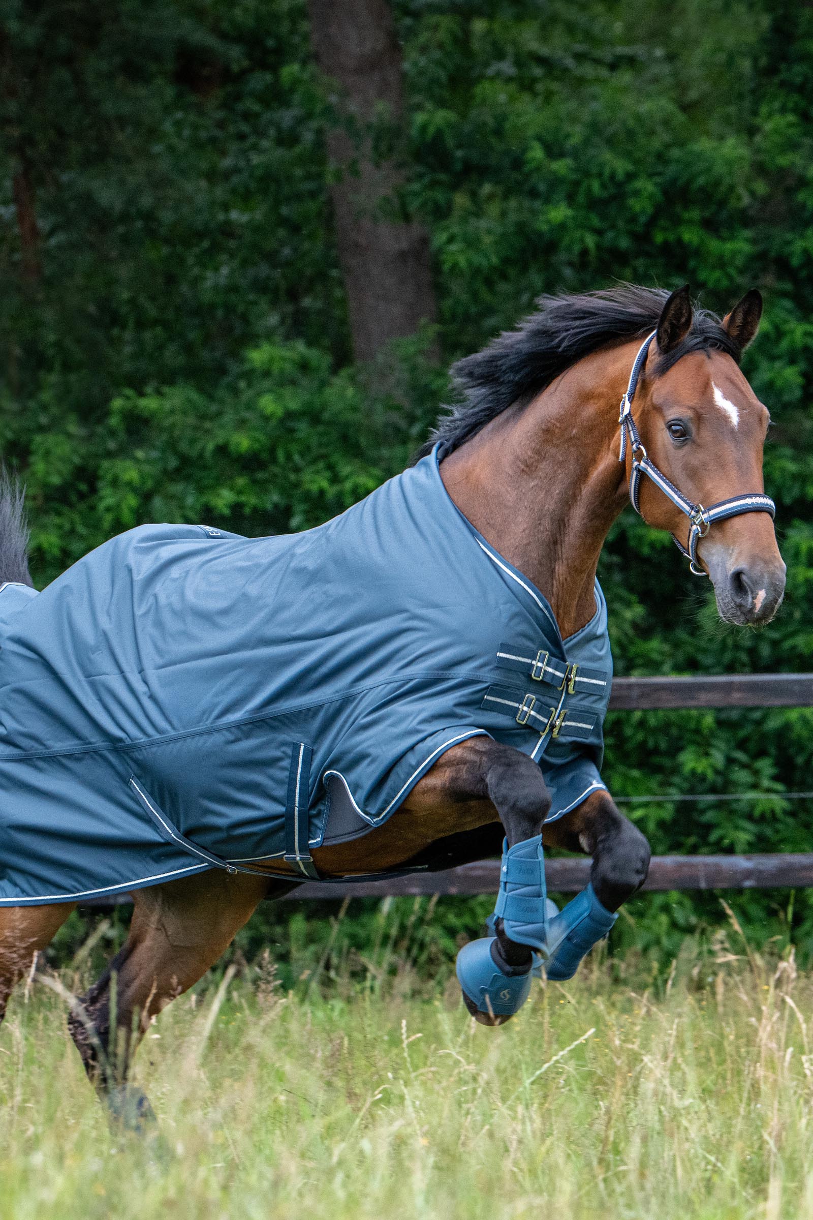 Eskadron Classic Sport SS26 Waterproof Light Turnout Rug, 0g