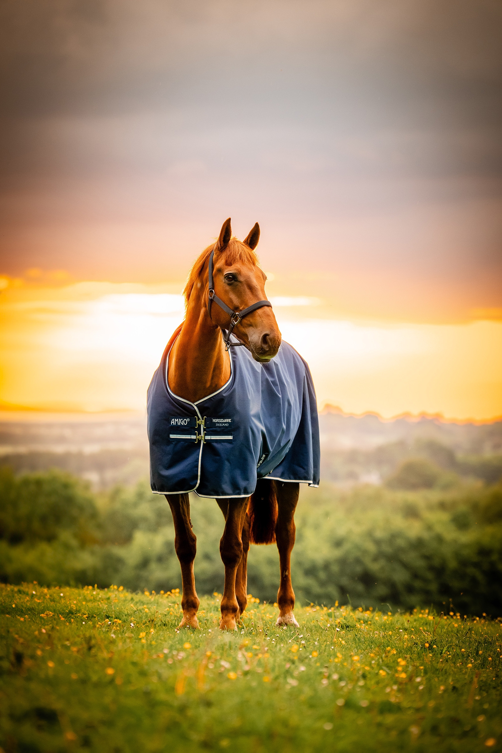 Witney Navy Horseware Amigo Ripstop 900D Fleece Lined Turnout Rug, 50 g