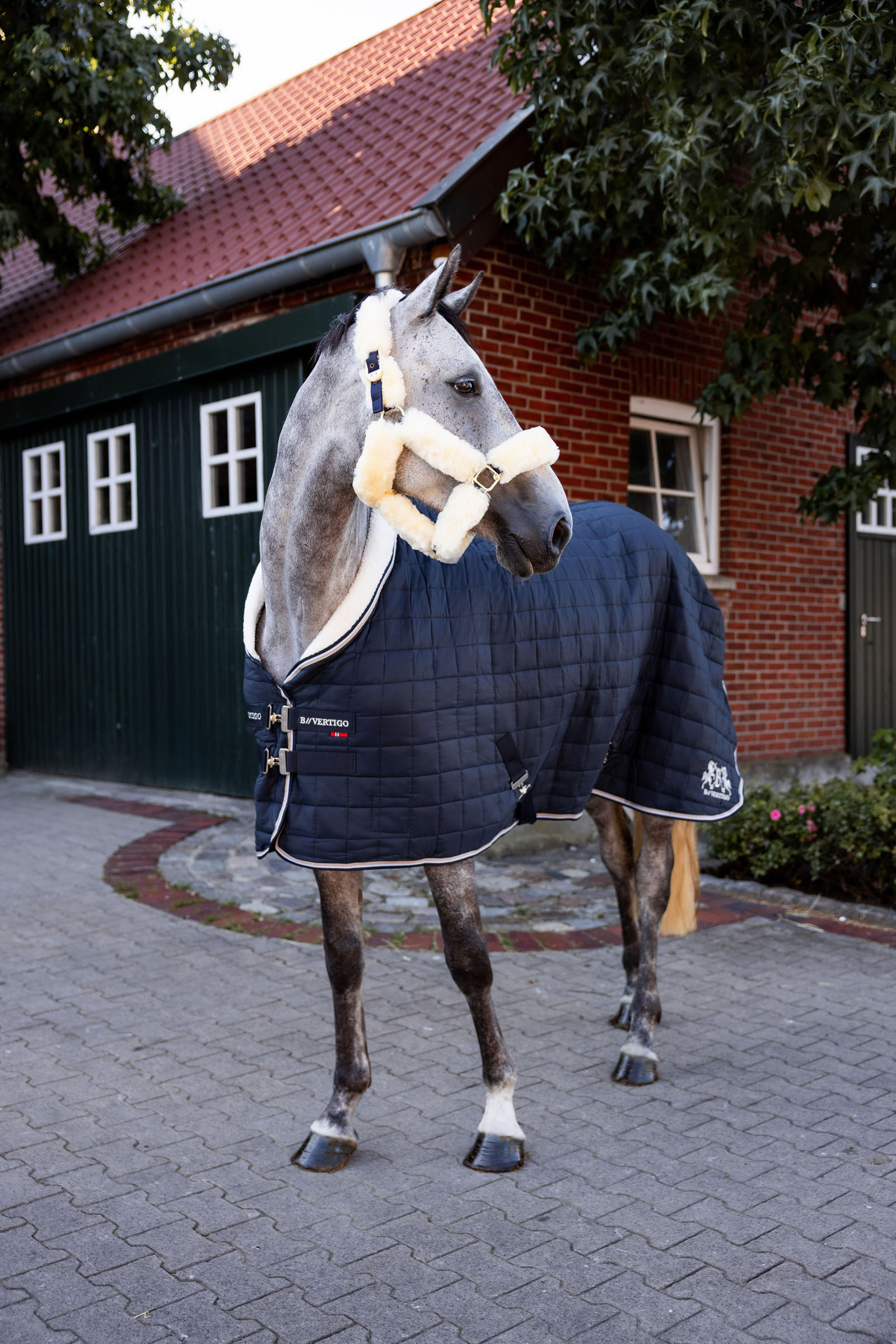 B Vertigo Theo Stable Rug, 150g