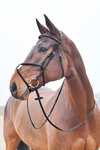 Horze Prescott Mexican Noseband Bridle
