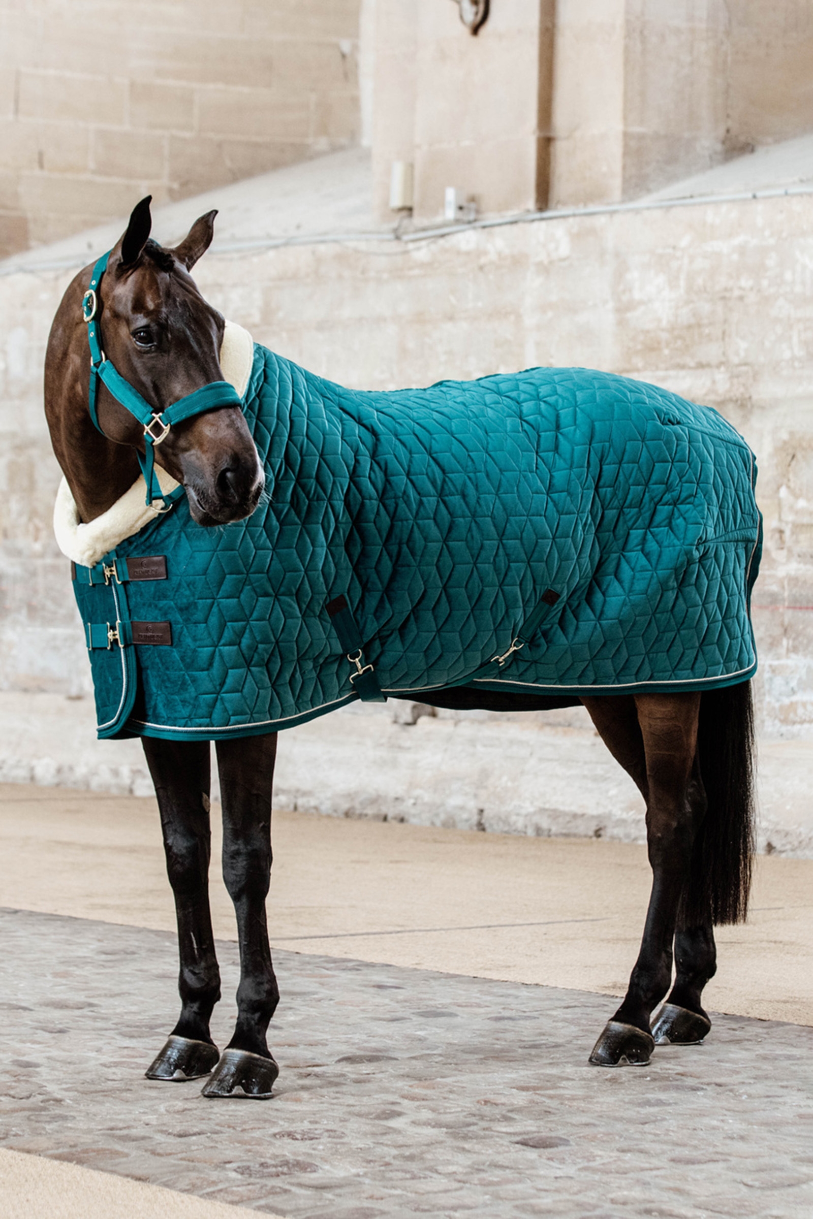 Kentucky Horsewear Velvet Pony Show Rug, 160g