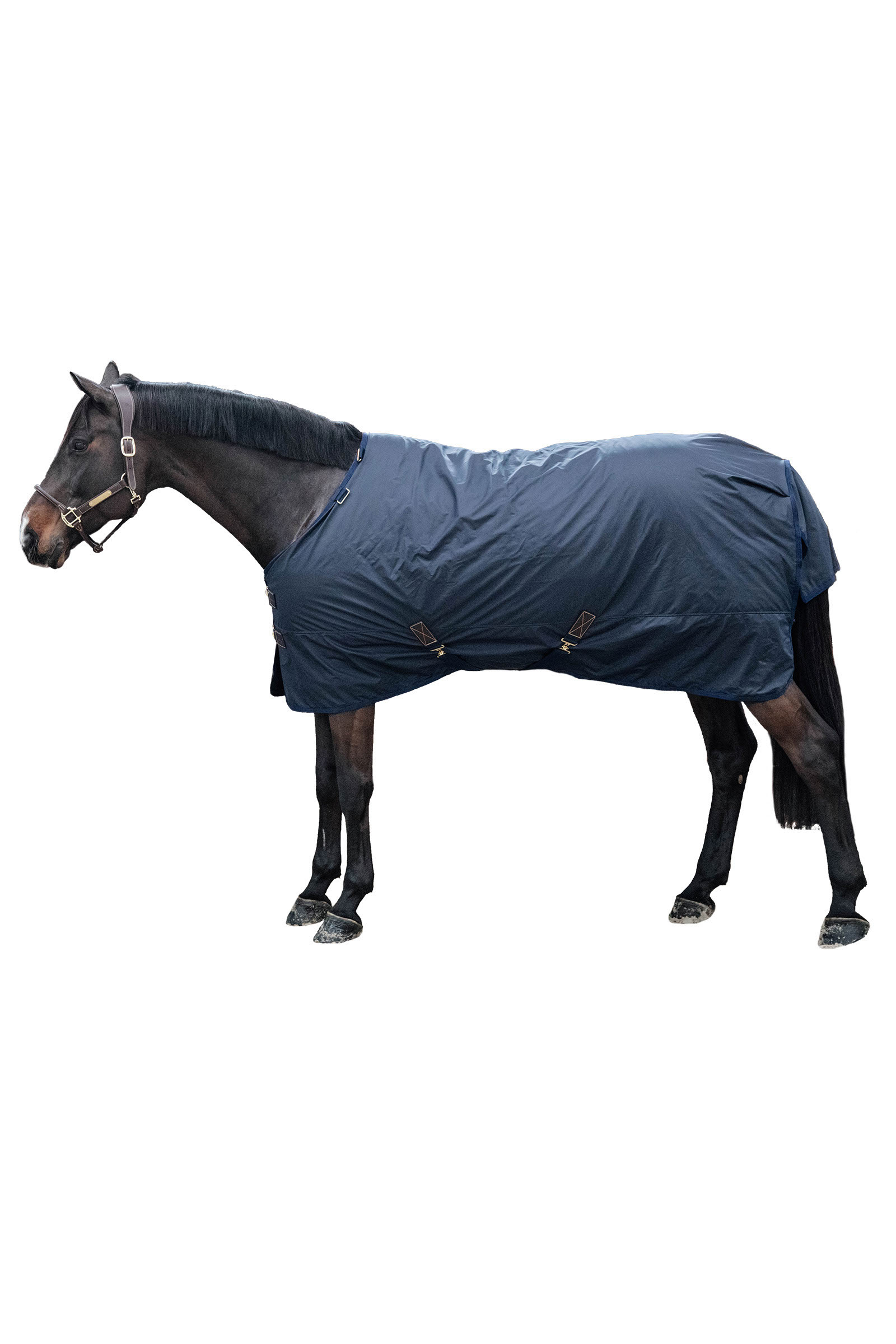 Kentucky Horsewear All Weather Hurricane Turnout, 0g