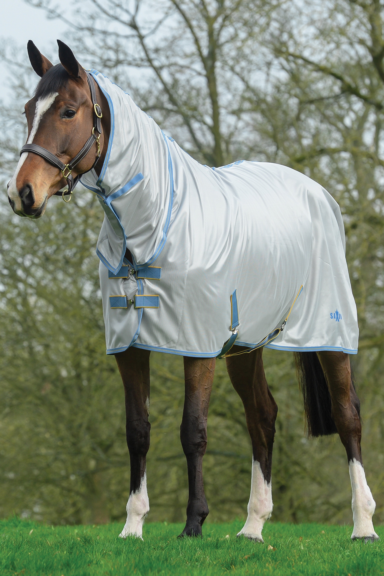 Saxon Mesh Combo Rug with Fixed Neck