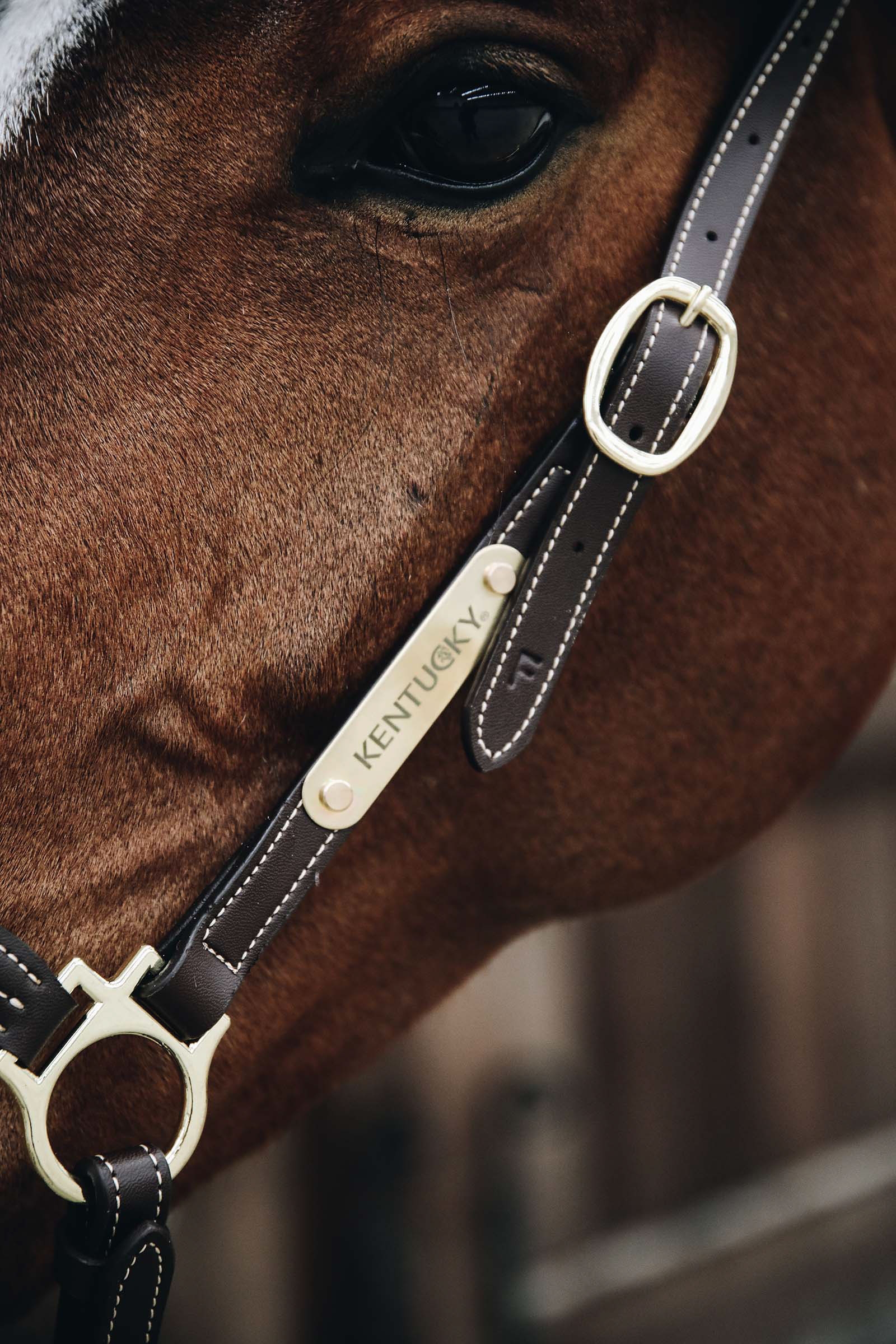 Kentucky Horsewear Leather Grooming Halter