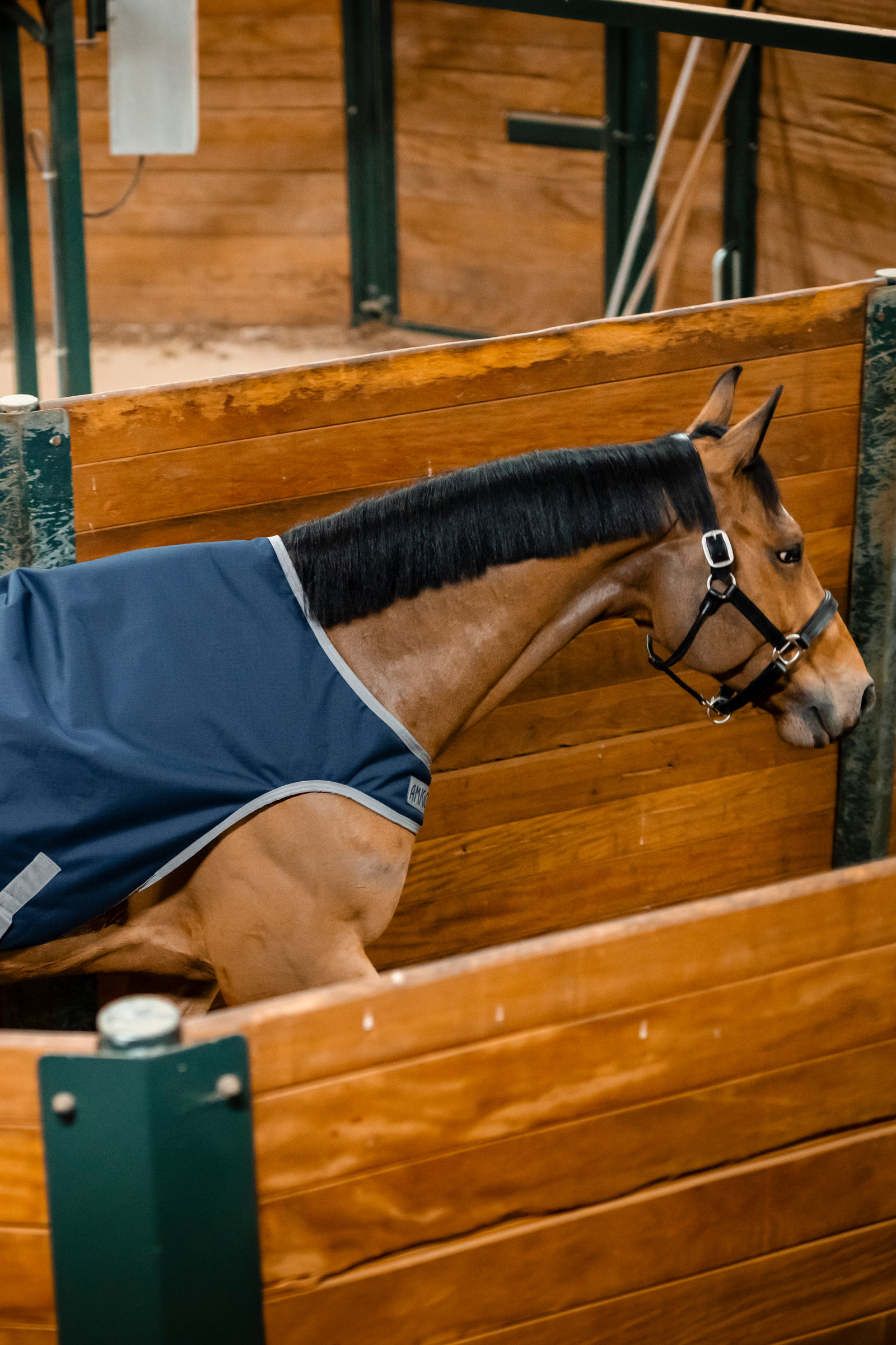 Horseware Amigo Ripstop 900D Walker Rug, 100 g