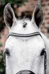 Horseware Diamante Flash Bridle