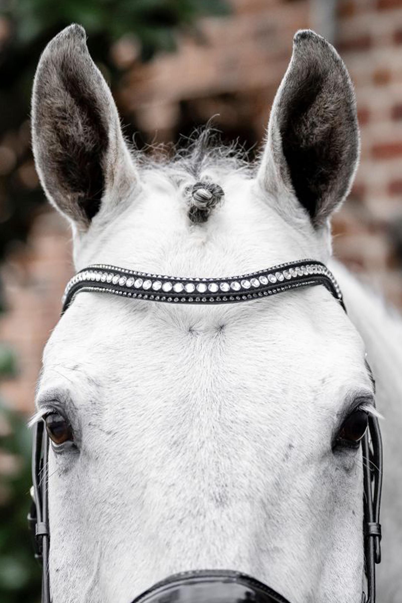 Horseware Diamante Flash Bridle