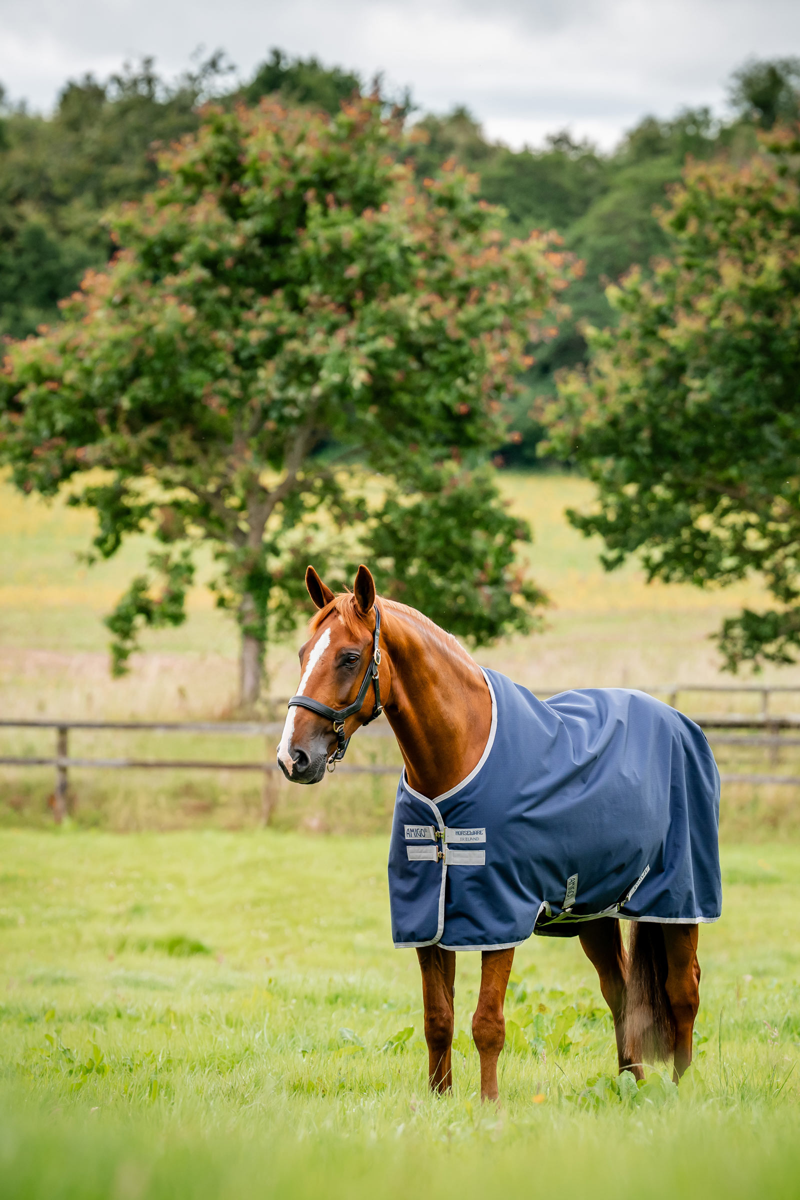 Horseware Amigo Ripstop 900D Turnout Rug, 200 g