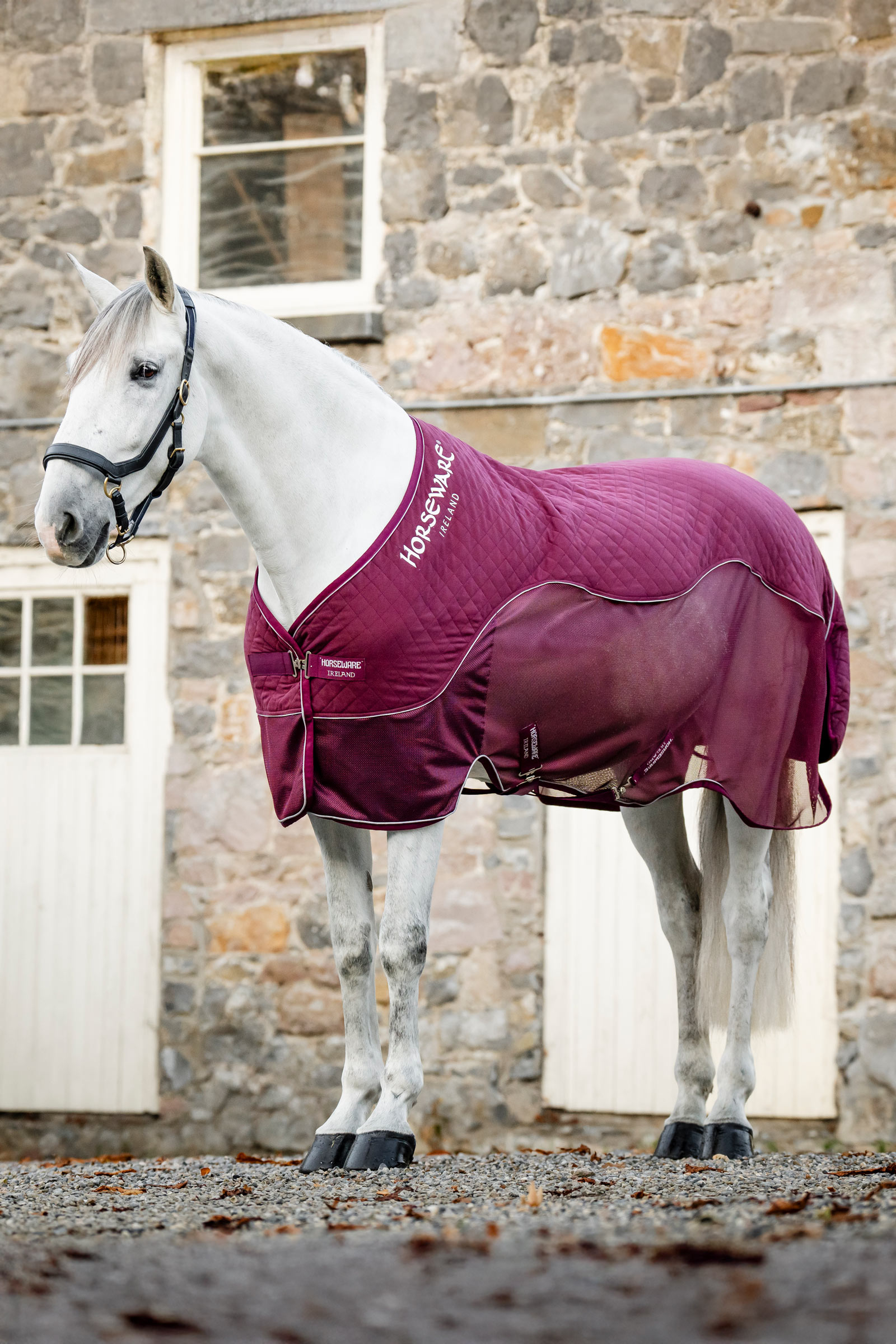Horseware Signature Travel Cooler
