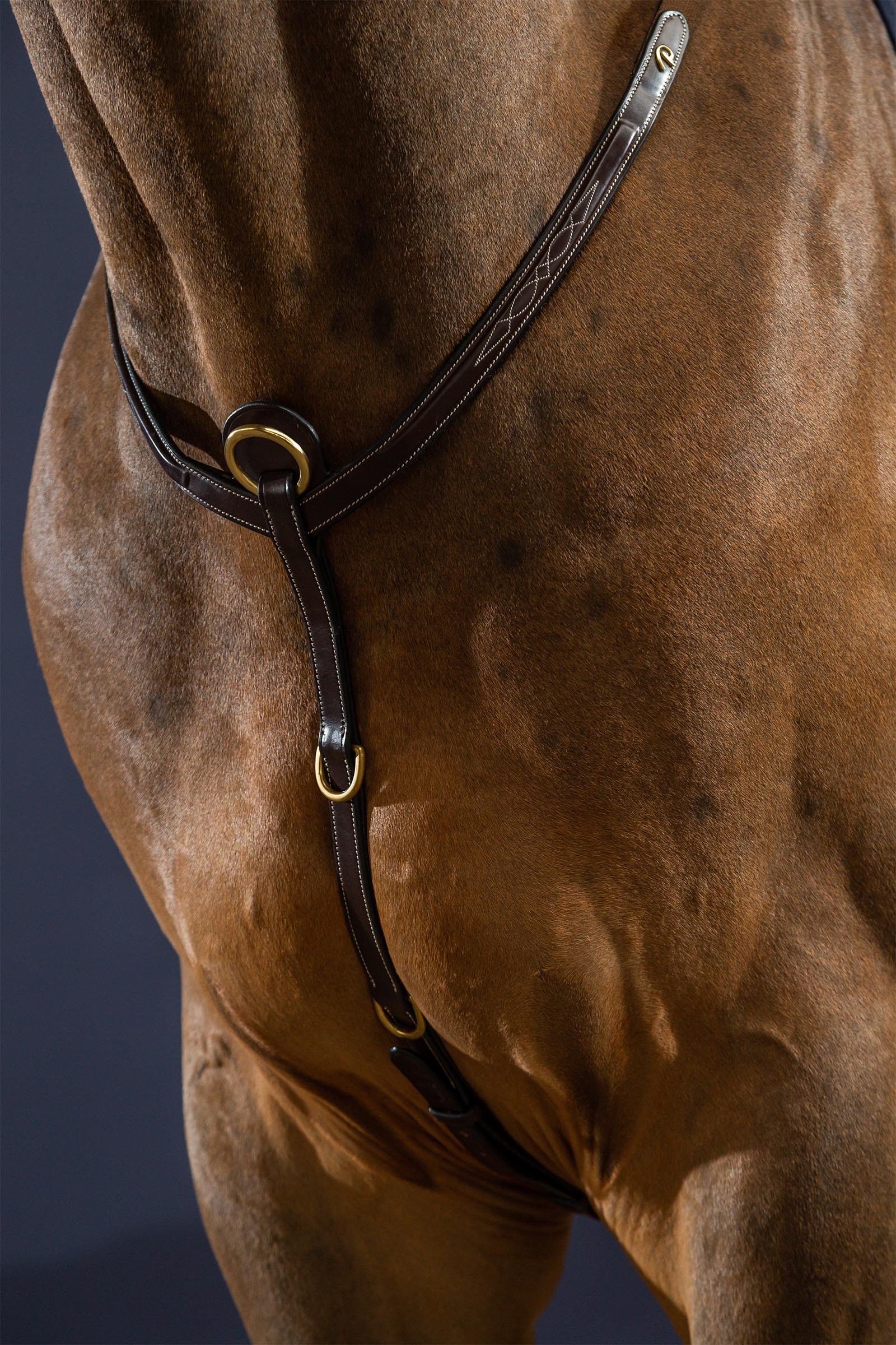 Dy'on D Collection Bridge Breastplate 