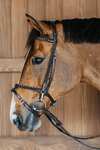 Dy'on Working Plaited Training Bridle 