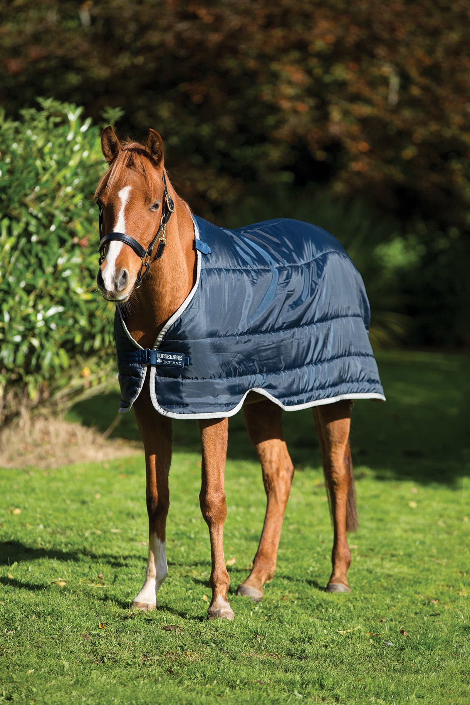 Horseware Pony Under Rug, 100g