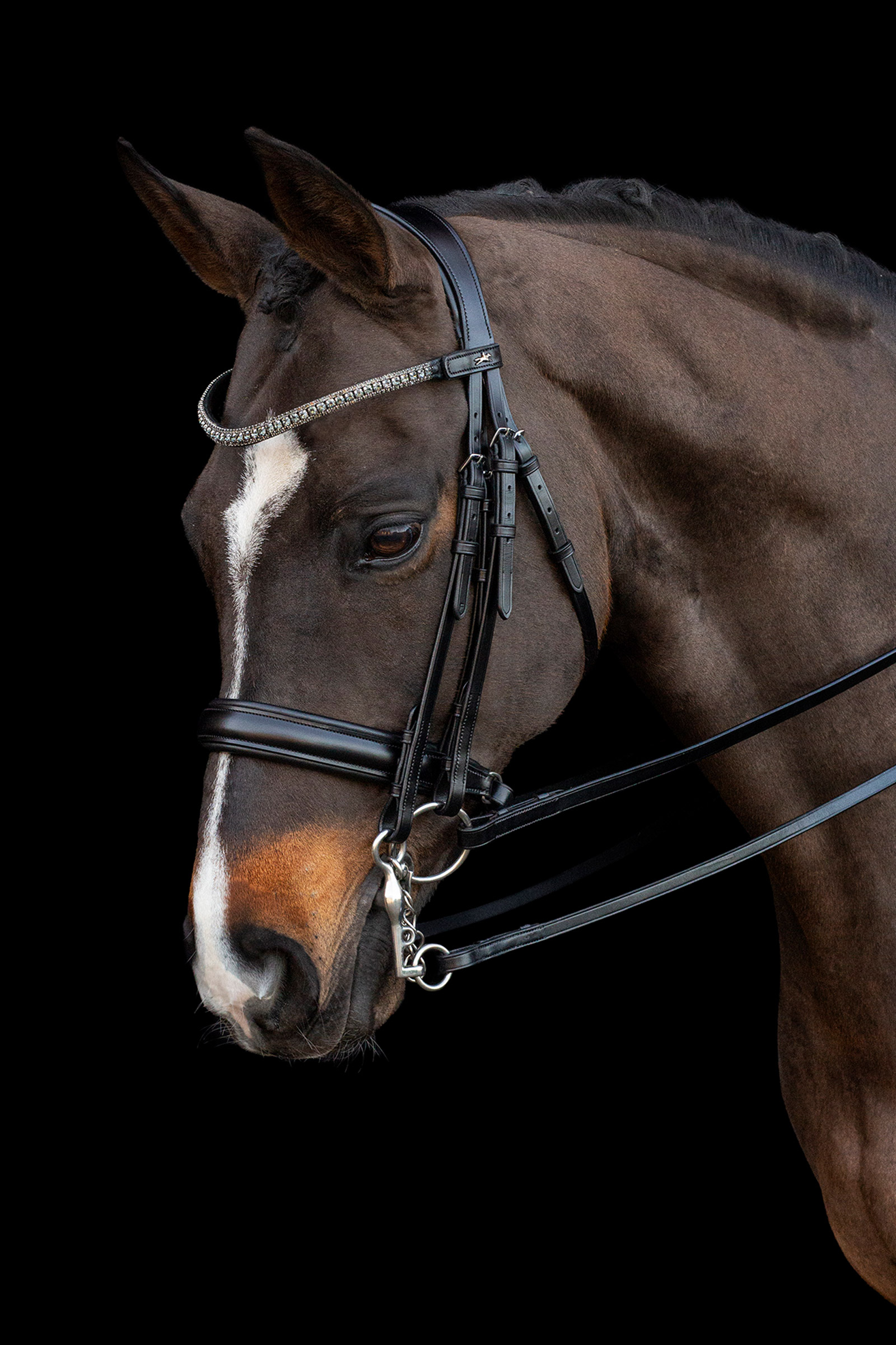 Schockem&ouml;hle Sports Brindisi Double Bridle