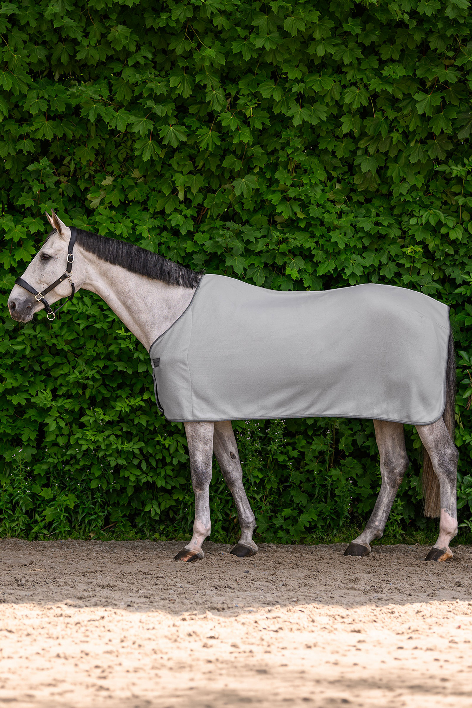 Silver Grey Waldhausen ECONOMIC Fleece Rug