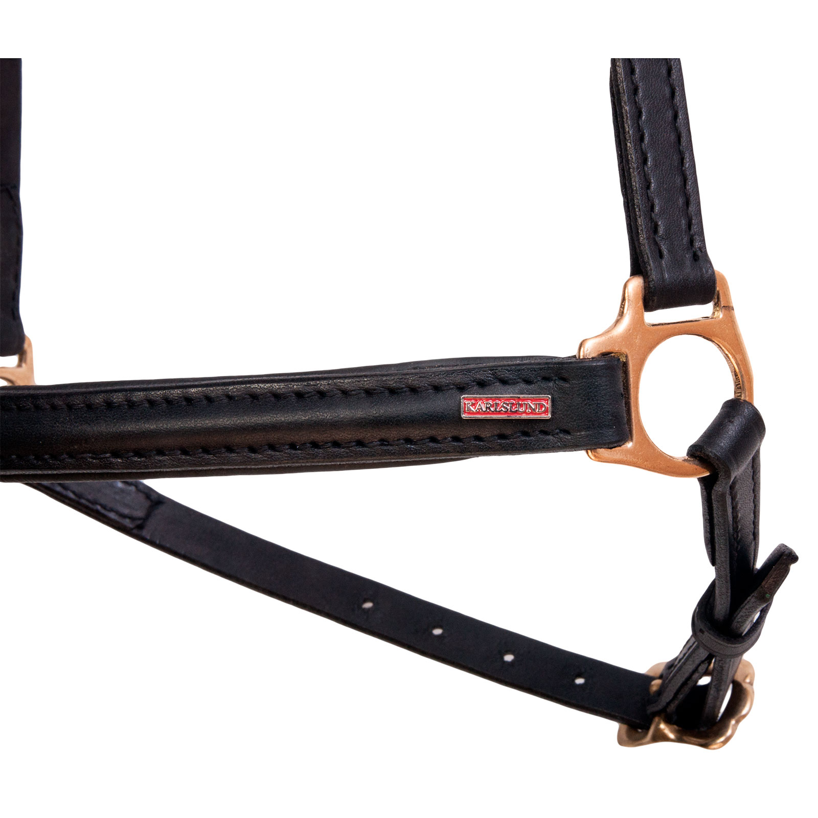 Iceland hannoveran noseband