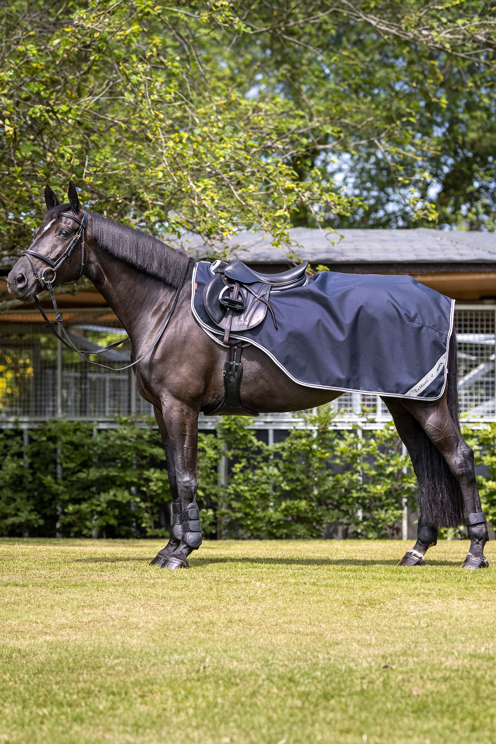 LeMieux Arika Exercise Sheet