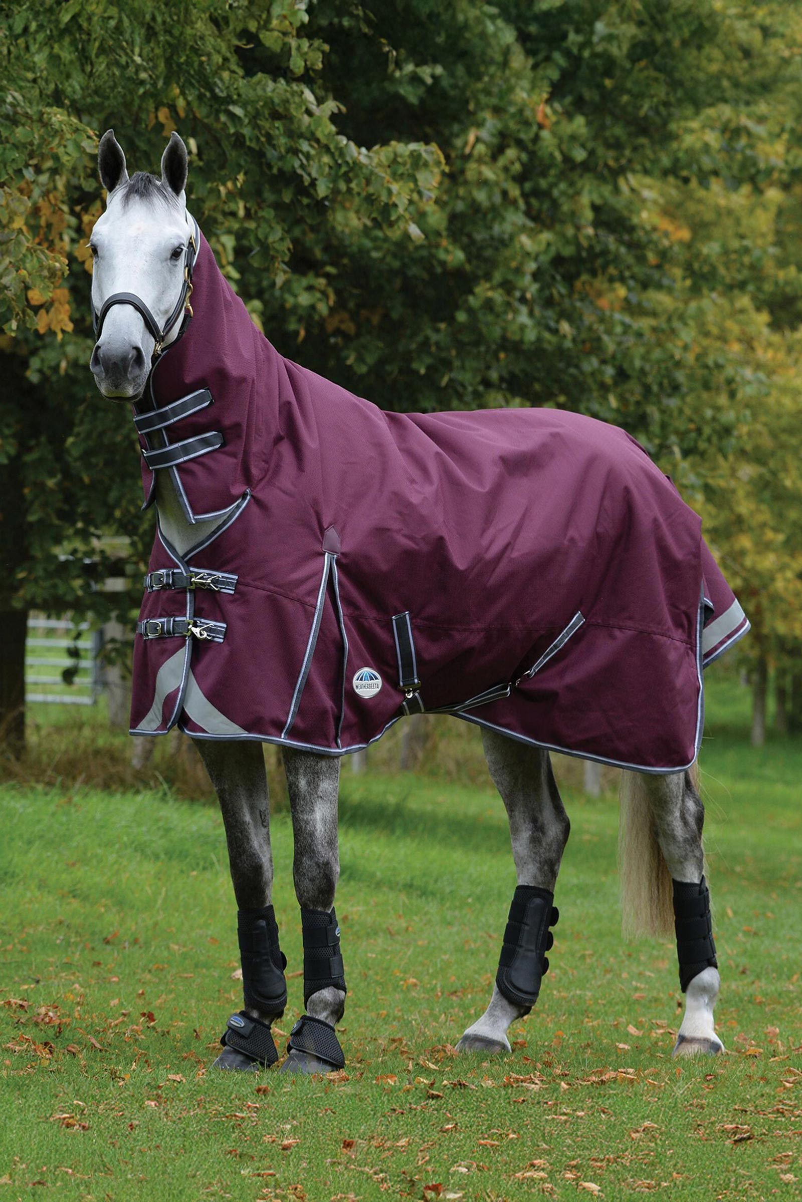 Weatherbeeta Comfitec Plus Dynamic II Turnout Rug With Fixed Neck, 100g