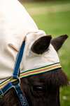 Horseware Amigo Ripstop Petite Hoody