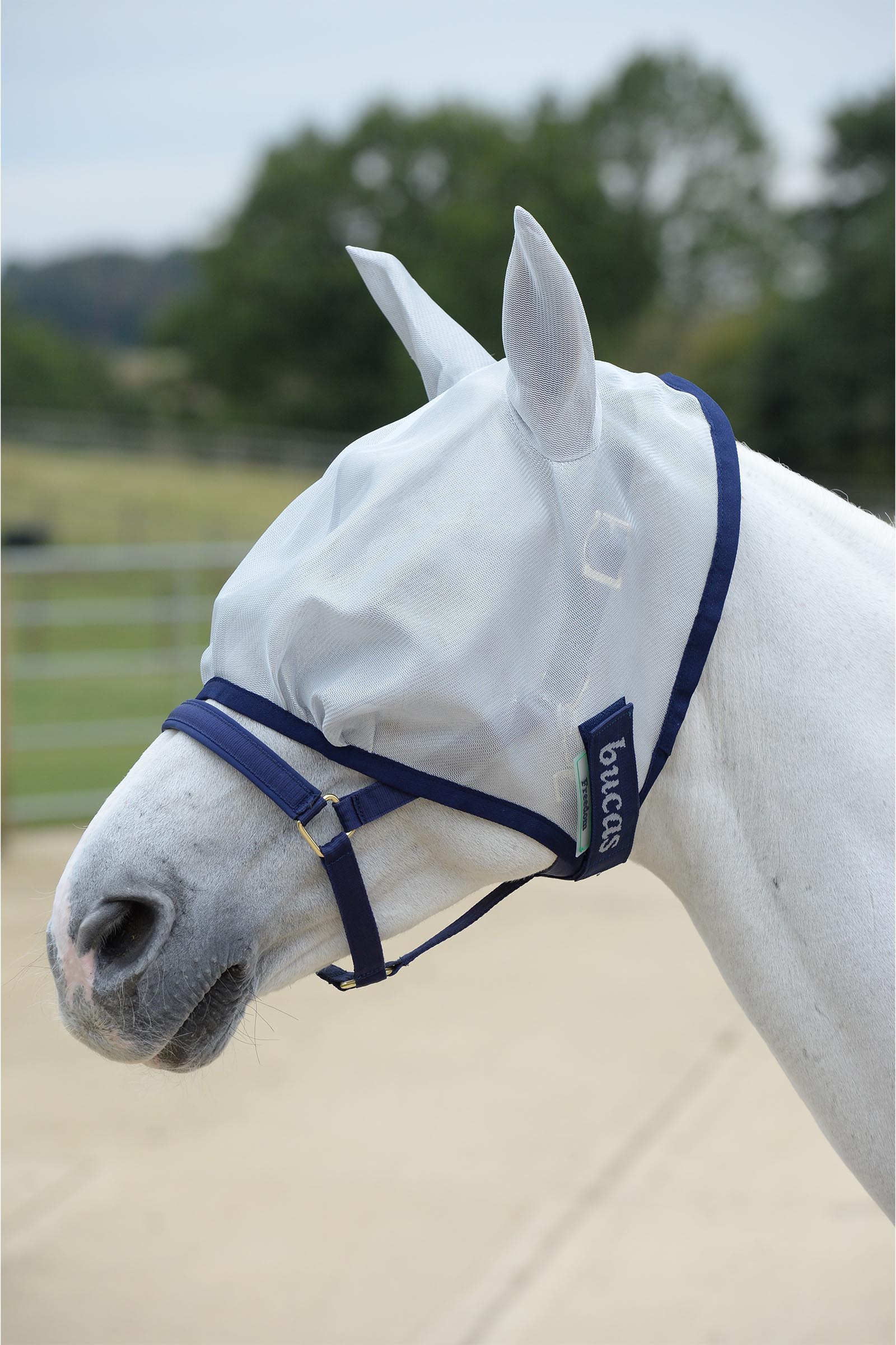 Bucas Freedom Fly Mask