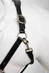 Horze Dynasty Leather Halter & Lead Rope Set
