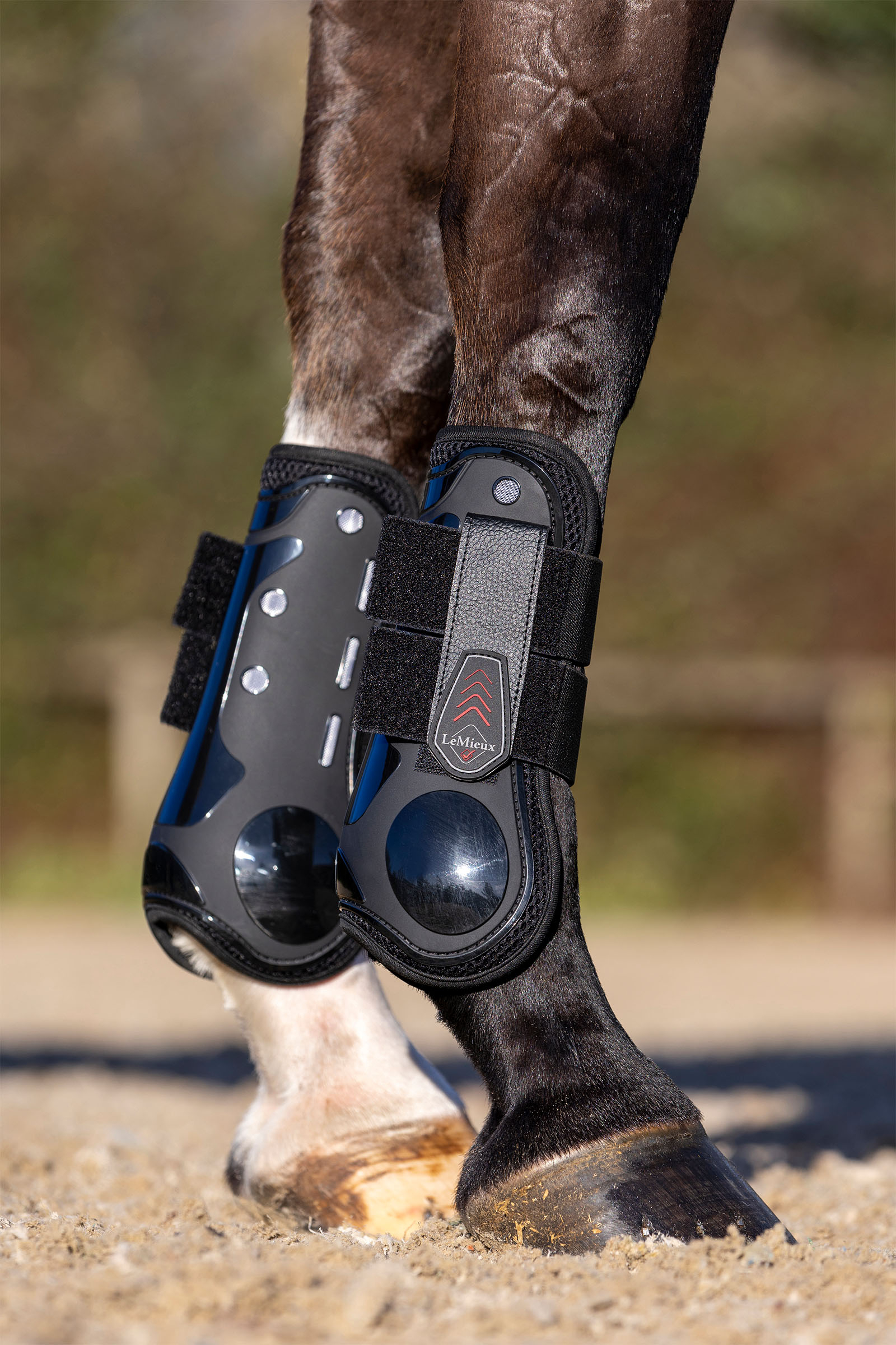 LeMieux Derby ProJump Tendon Boot