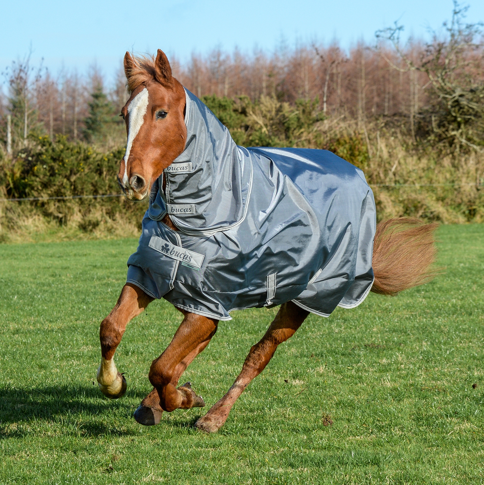 Iron Grey Bucas Smartex Combi Neck 300