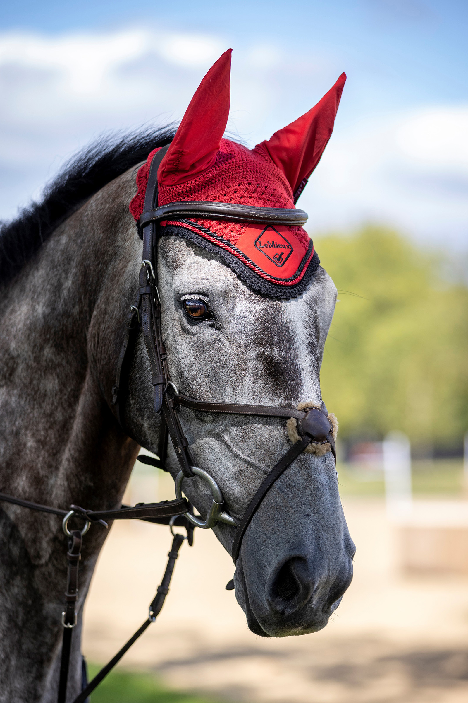 LeMieux Classic Fly Hood