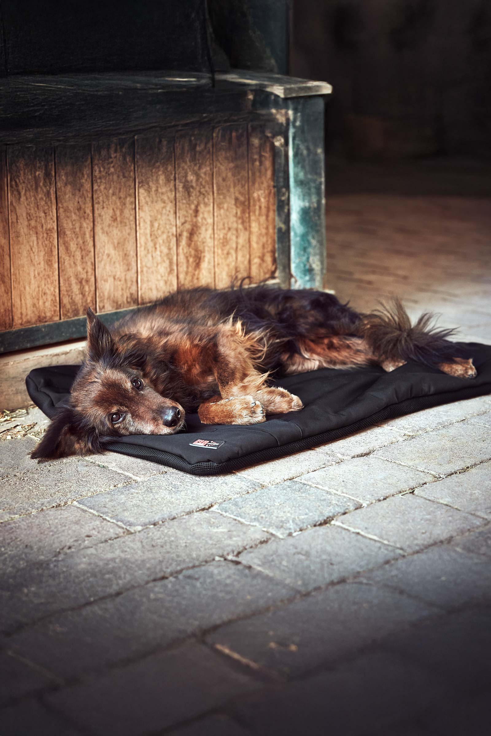 CATAGO FIR-Tech Pro Heatable Dog Pillow