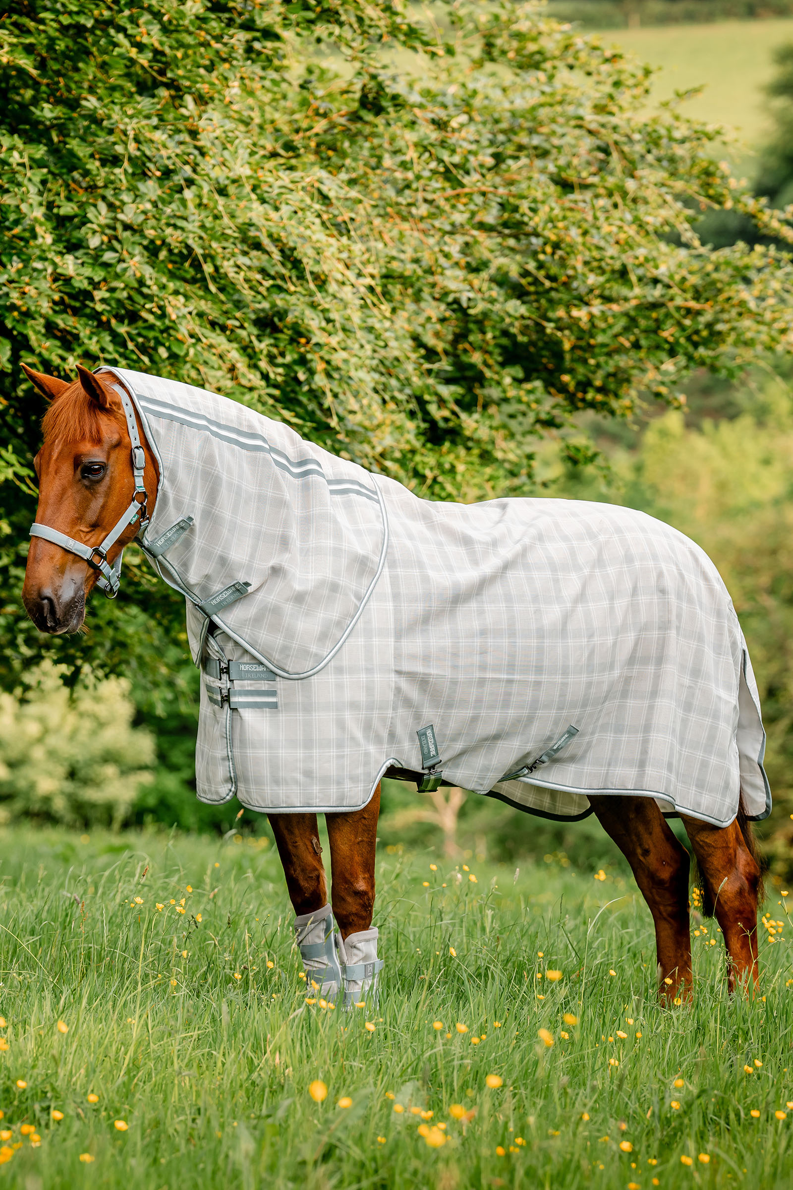 Witney Charcoal Horseware Newmarket Plus Fly Sheet