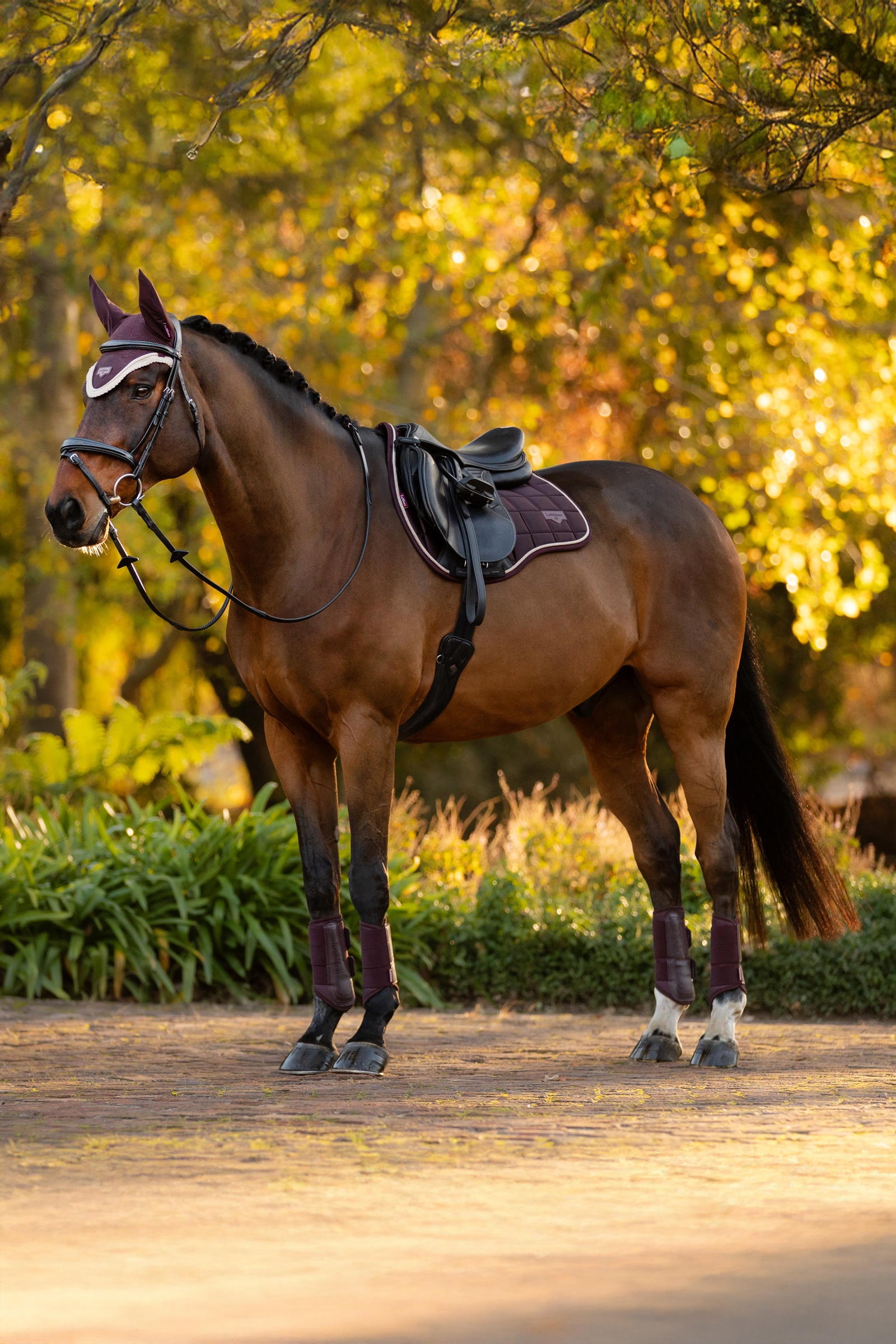 LeMieux Loire Classic Square All Purpose Saddle Pad