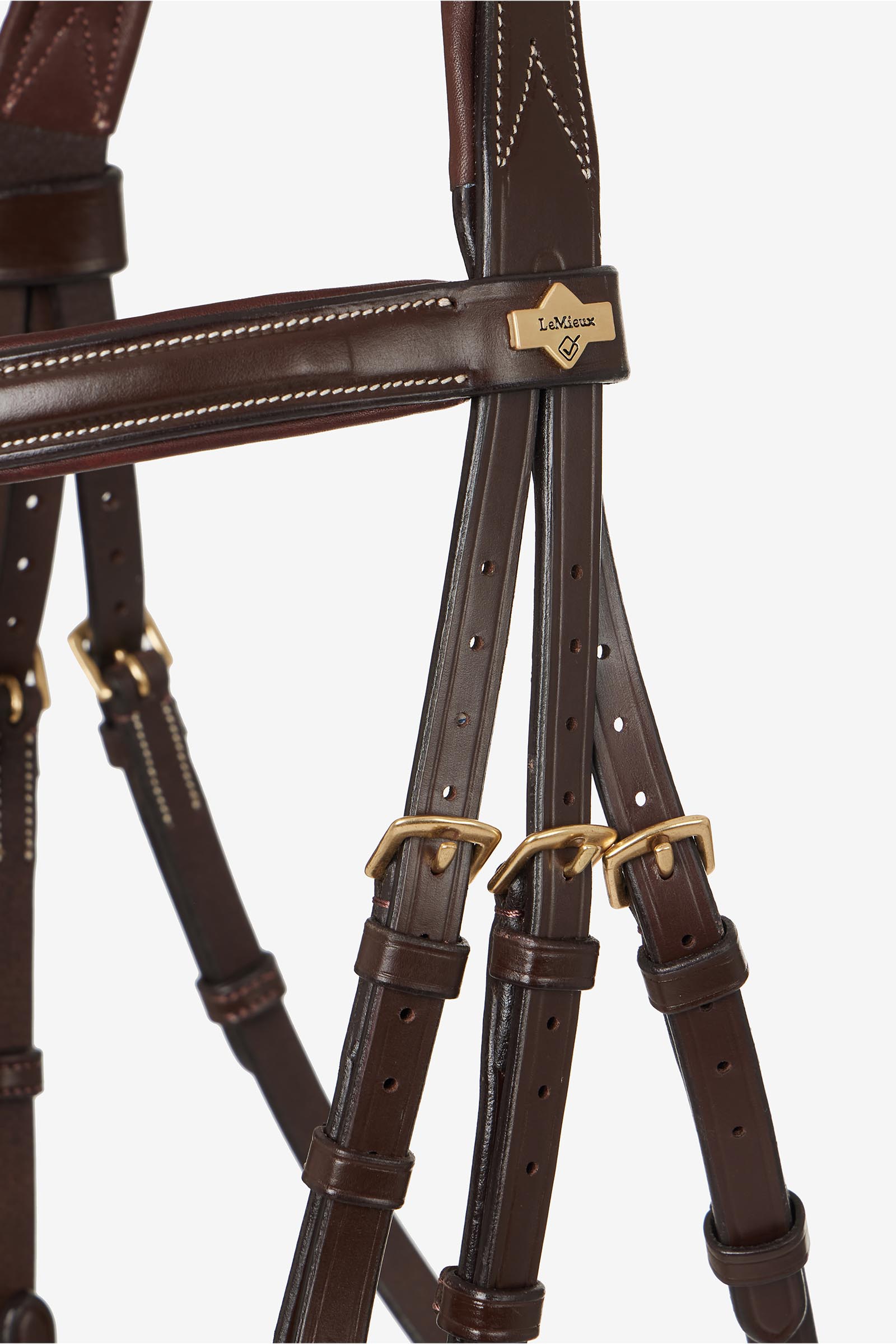 LeMieux Kudos Grackle Bridle