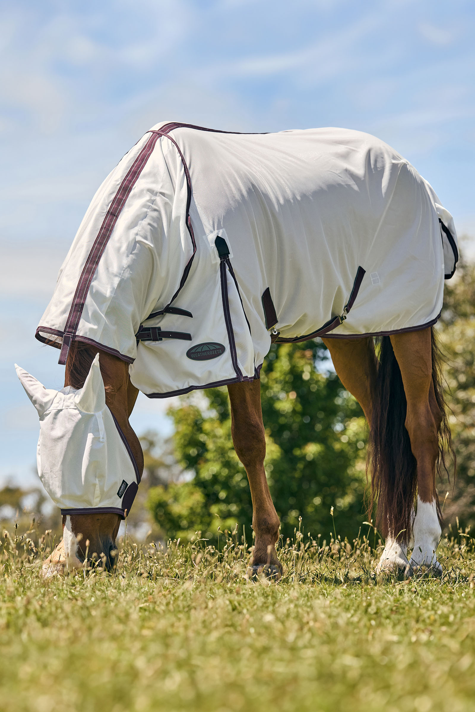 Weatherbeeta Comfitec Essential Mesh Mask