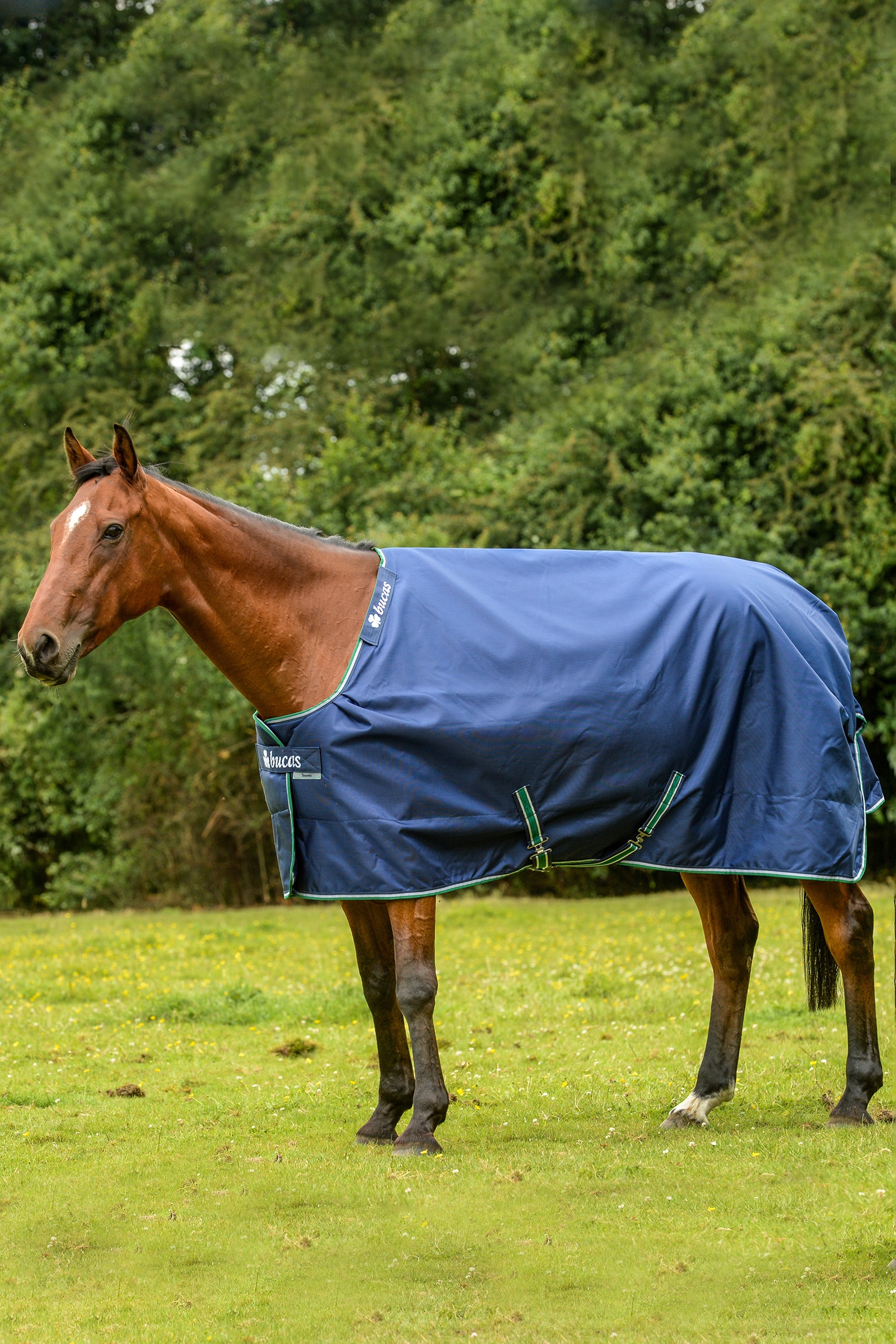 Bucas Smartex Extra Rug 300g
