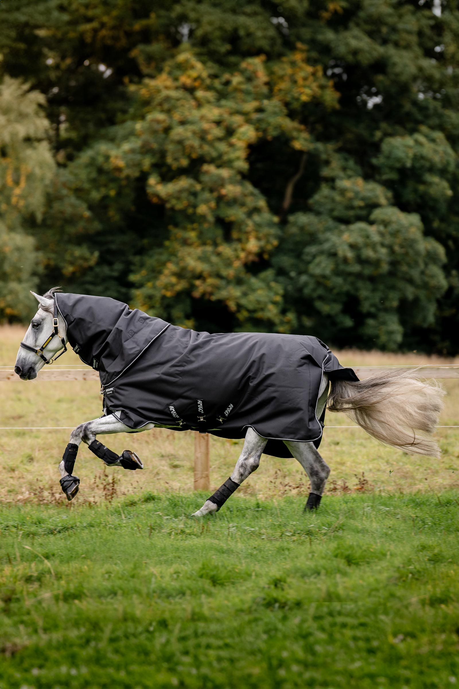 Horseware Amigo Super Bravo Plus Turnout Rug With Detachable Neck, 250g