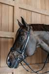 Dy'on  Working Training Bridle